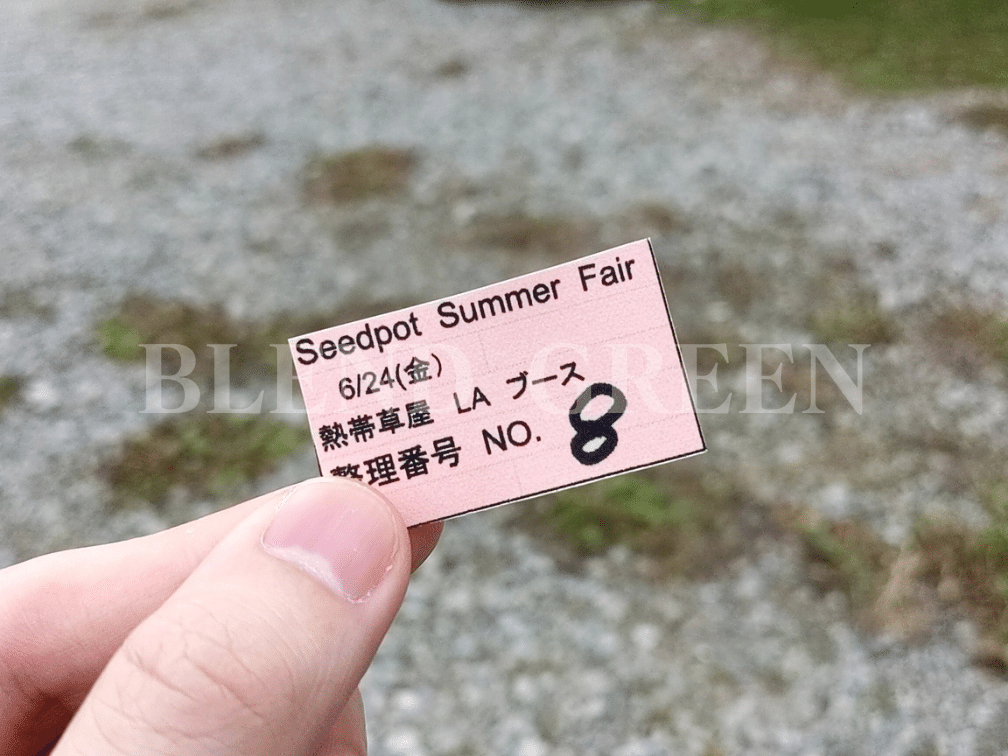 【2022年】 Seedpot Summer Fair 整理番号