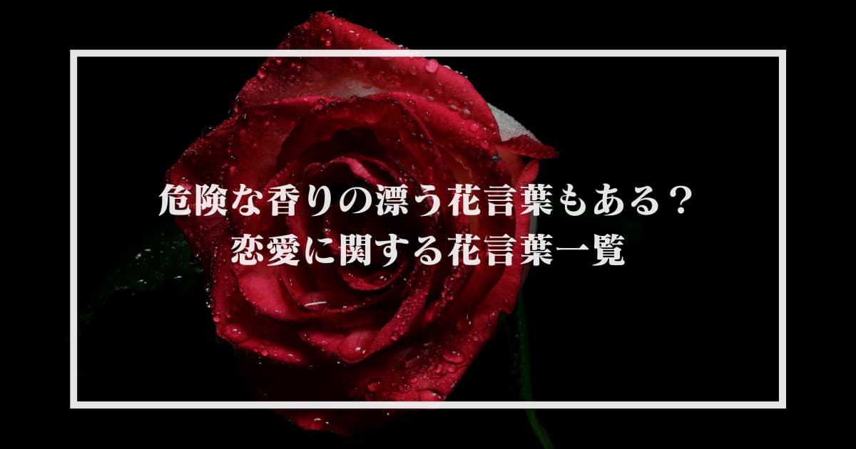 危険な香りの漂う花言葉もある 恋愛に関する花言葉一覧