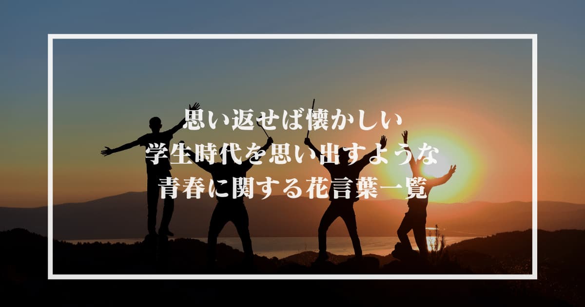 思い返せば懐かしい学生時代を思い出すような青春に関する花言葉一覧