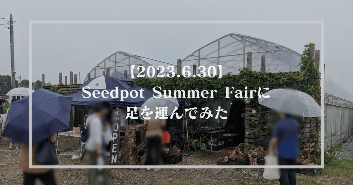 【2023.6.30】Seedpot Summer Fairに足を運んでみた