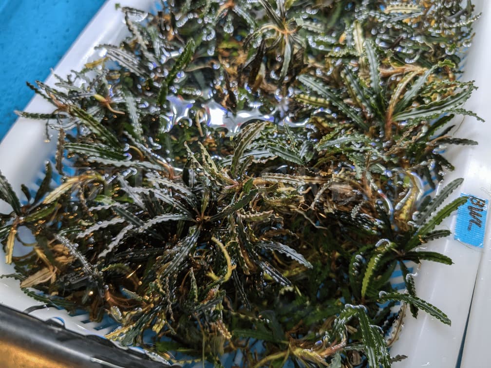 2024.10.9】フィードオンに足を運んでみた 